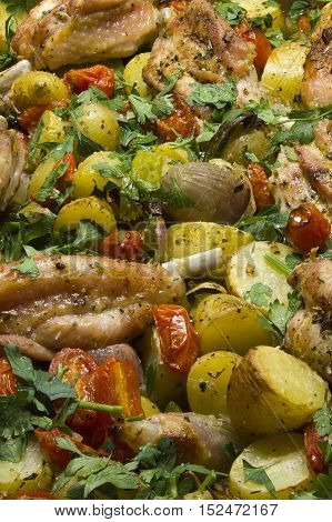 grilled mixed vegetables in mediterranean style with roasted turkey under clubs