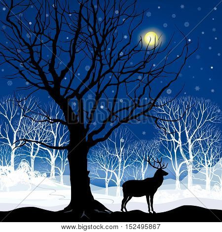 Snow winter landscape with two deers. Abstract vector illustration of winter forest. Snow winter background.