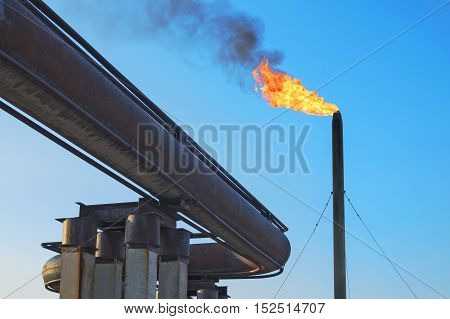 Gas torch. Burning of associated gas at oil production.