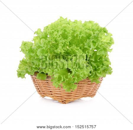 green oak lettuce in wood basket isolated on white