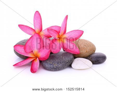 stones with frangipani flower isolated on white