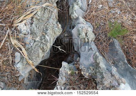Cleft Or Split In The Rocks, Small Cave, Dry Grass