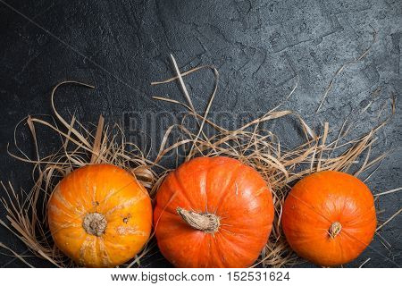 Autumn Pumpkin Thanksgiving Background - orange pumpkins over black table, top view