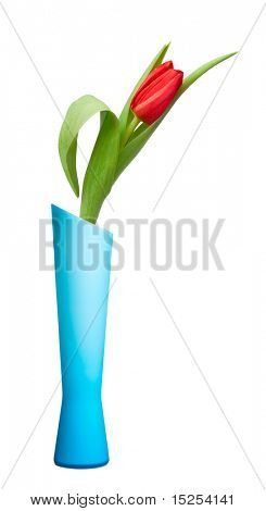 vaso con fiore