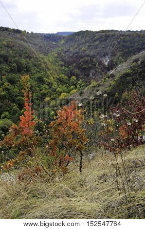 Colors of the autumn walk in the park. Ancient monastery. Village Saharna.