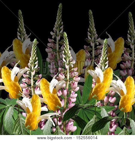 Beautiful floral background with pink lupine and pachystachys