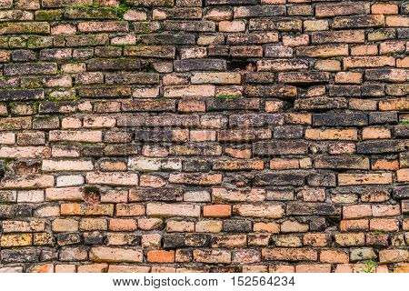 Old and rough brick wall covered with moss and vegetation growing out of it .
