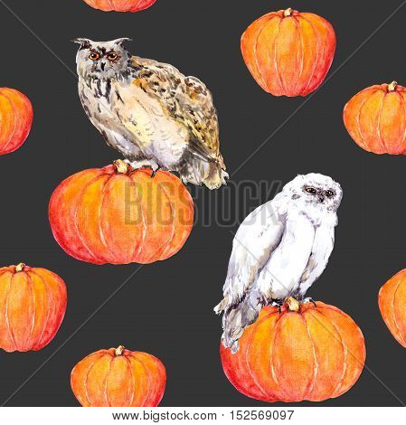 Owl on pumpkin. Halloween watercolor repeating pattern