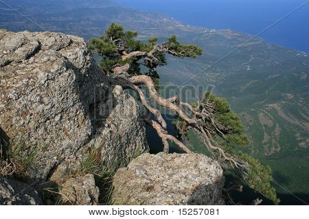 Eteläisen rannikon Crimea