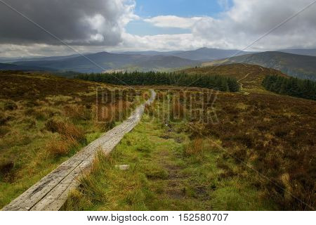Wicklow way trail leading to the vibrant irish landscape