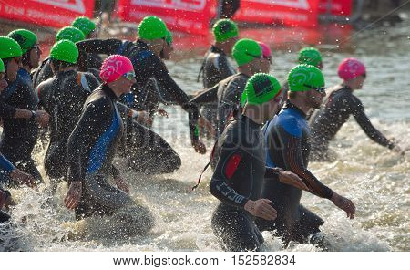 GRAFHAM, CAMBRIDGESHIRE, ENGLAND - MAY 22, 2016:  Triathlon swimmers entering open water swim stage.