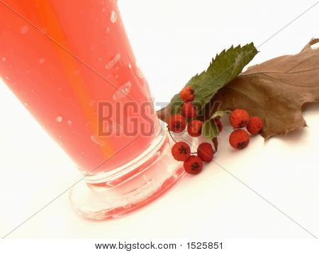 Jellys