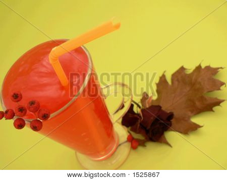Gelatina