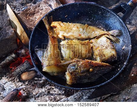 Fried river fish in a cast iron skillet on hot ashes from the fire outdoors.