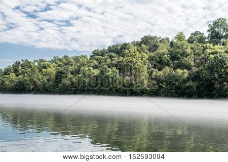 River bank with green trees near clear water and blue skies