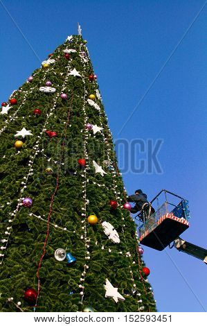 Volgograd Russia - December 20 2008: A worker decorates a Christmas tree