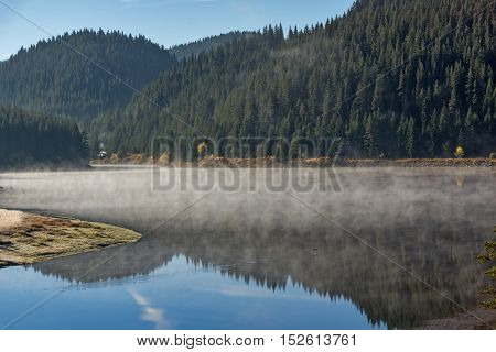 Reflection of green forest in  Golyam Beglik Reservoir, Pazardzhik Region, Bulgaria