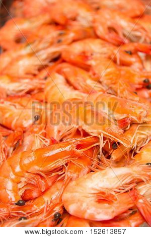 Boiled shrimp on ice for a party