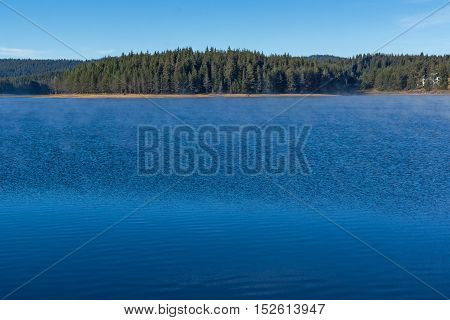 Green forest of Golyam Beglik Reservoir, Pazardzhik Region, Bulgaria