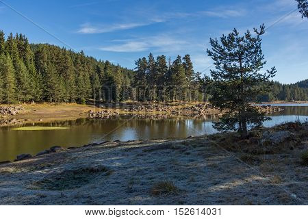Amazing landscape of Green forest of Shiroka polyana Reservoir, Pazardzhik Region, Bulgaria