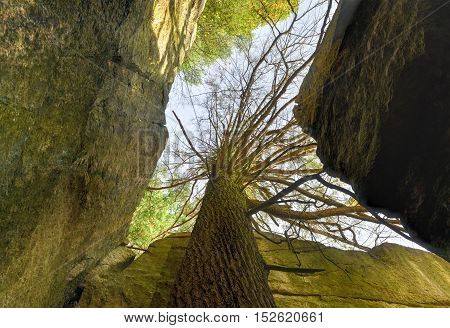 Mohonk Preserve