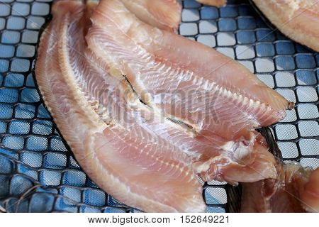 Striped Snakehead Fishes Dried In The Sun For Sell In Open Market, Thai Market Store.