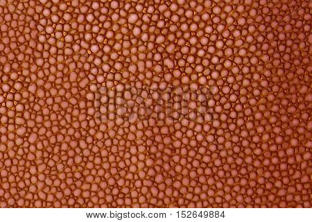 close up red texture leather shagreen background