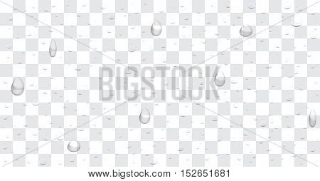 transparent water rain drop background vector eps10