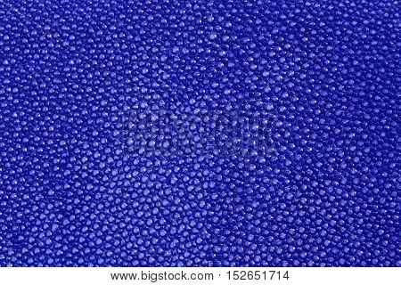 close up blue texture leather shagreen background