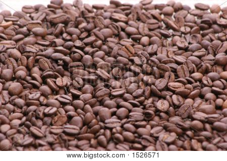 Grains de café