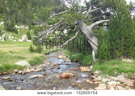 View Of Llubriqueto Valley In National Park Aiguestortes, Catalonia, Spain