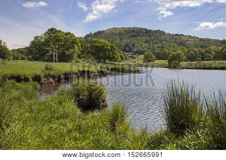 Summer at Elterwater, The Lake District, Cumbria, England