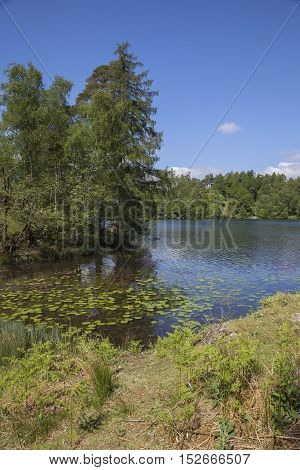 Popular tourist destination of Tarn Hows, Lake District, Cumbria, England.
