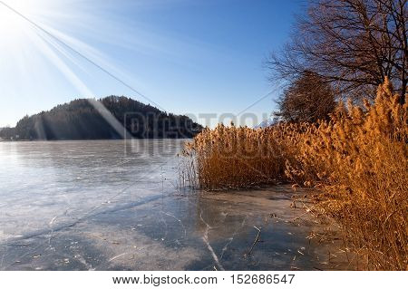 Lago di Serraia (Serraia lake) frozen in winter with reeds trees and sun rays. Baselga di Pine Trentino Alto Adige Italy
