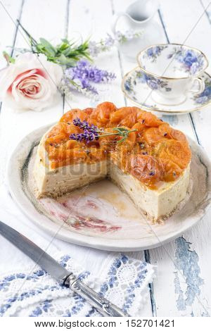 apricot Cheesecake on Plate