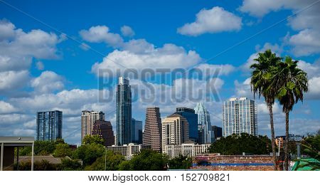 Austin Texas Tropical Paradise view with Two Palms Trees next to Downtown Skyline Cityscape on a perfect nice Sunny Day with the Frost Bank Tower in View