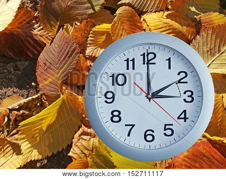 Isolated Electronic Wall Clock.