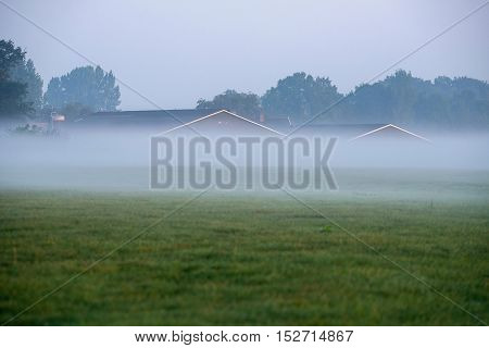 Cattle stables of farm in morning mist. Geesteren. Gelderland. The Netherlands.