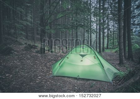 green tent on forest closeup, toned like Instagram filter