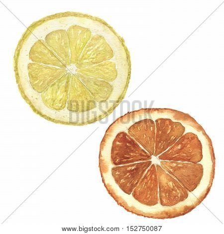 Watercolor orange and lemon set. Hand painted citrus food illustration isolated on white background. Botanical illustration for design.