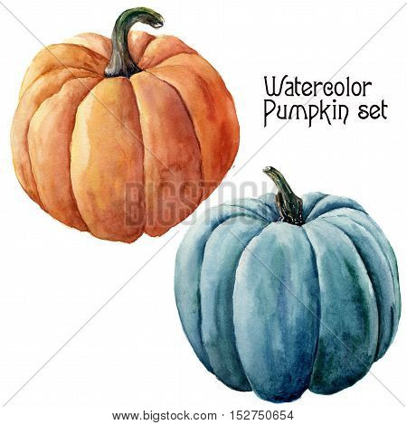 Watercolor pumpkin set. Hand painted orange and blue vegetables isolated on white background. Autumn pumpkin print for design.