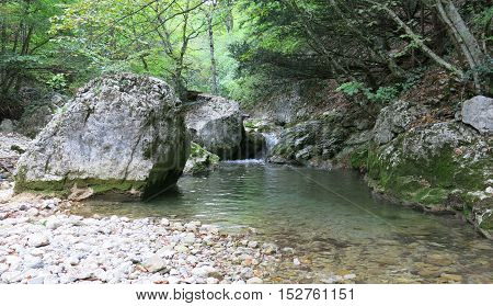 mountain river in the bottom of the canyon in a forest