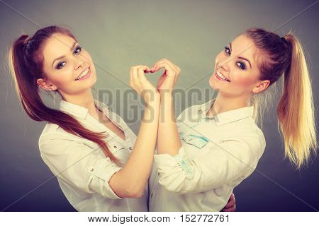 Family and relations. Love affection concept. Two lovely attractive women playing together. Charming playful sisters have fun smiling. Girls making heart sign symbol with hands