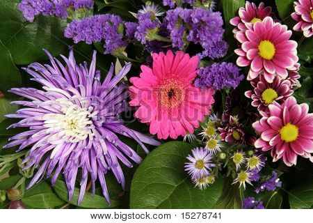 Fleurs