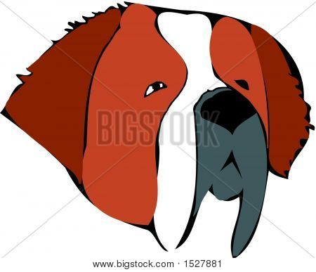 St Bernard.Eps