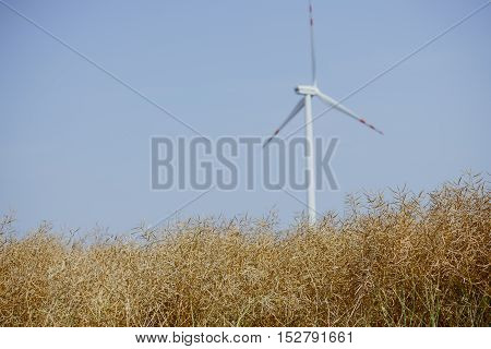 Windturbine At Sunny Day