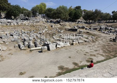 View of Temple of Apollo in antique city of Didyma / Turkey