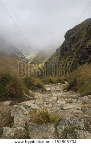 Inca trail looking down from death woman's pass, highest point