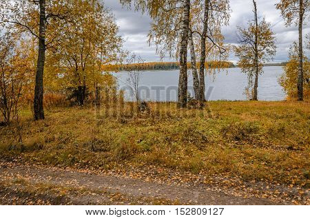 Deciduous in autumn season in the month of October