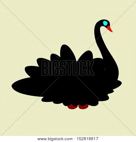 black swan with red beak and blue eyes